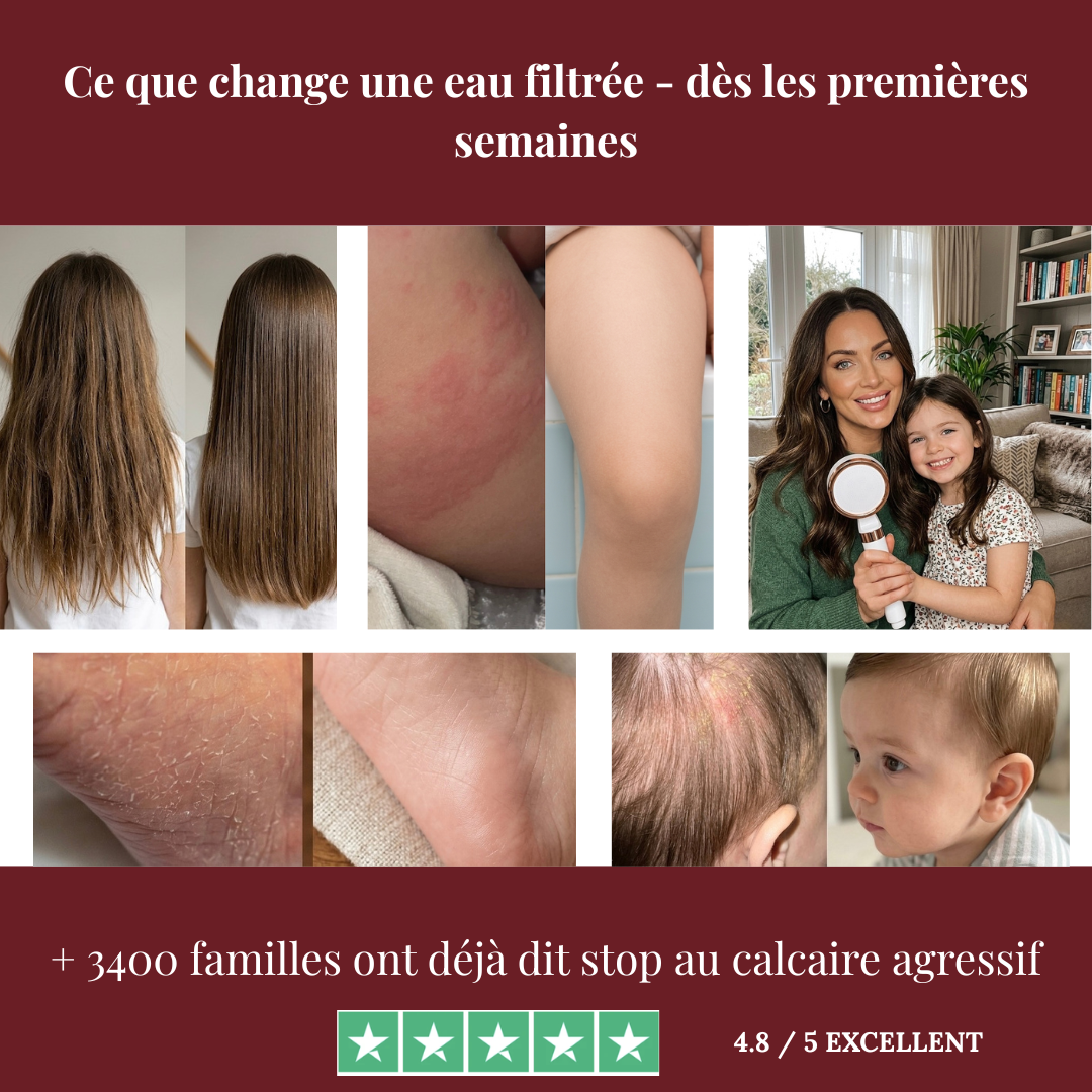 Pommeau de douche filtrant